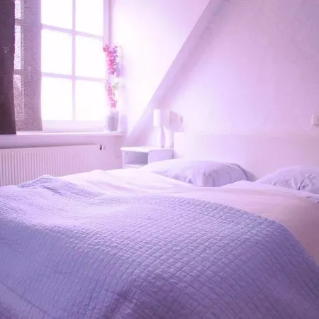 Alta 3* Eltville am Rhein